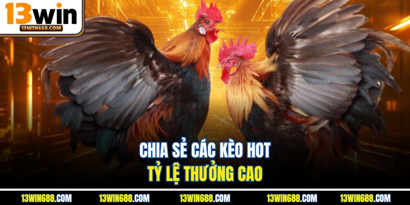 Chia sẻ các kèo hot, tỷ lệ thưởng cao