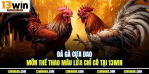 Đá Gà Cựa Dao - Môn Thể Thao Máu Lửa Chỉ Có Tại 13Win