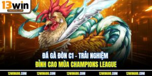 Đá Gà Đòn C1 – Trải Nghiệm Đỉnh Cao Mùa Champions League