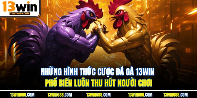 Những hình thức cược đá gà 13WIN phổ biến luôn thu hút người chơi